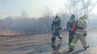 В Сибири полыхают лесные пожары