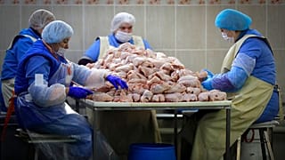 Baromfifeldolgozó üzem
