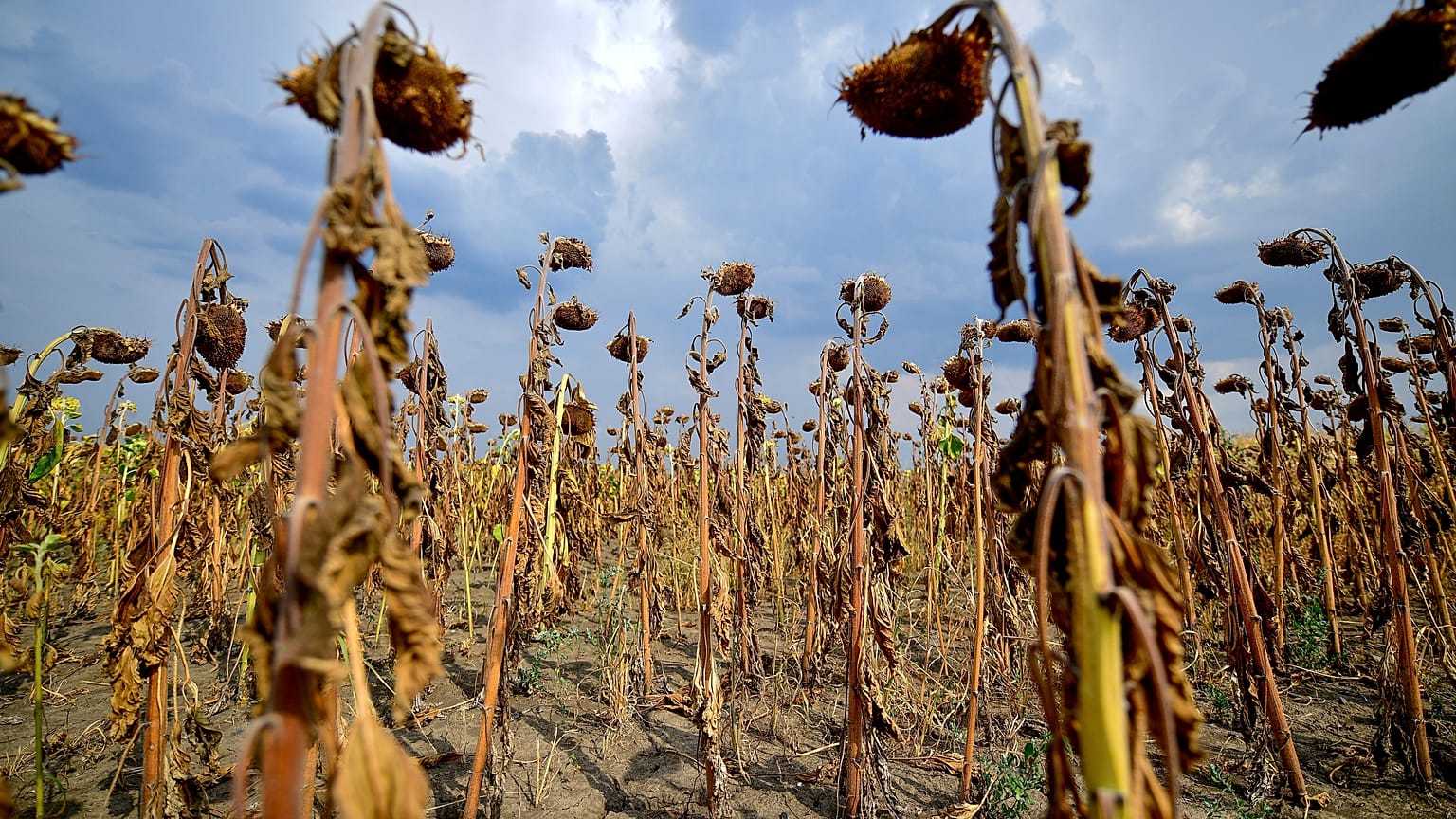 Hungary Drought