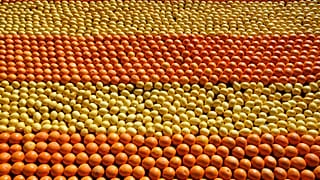 Tapis de citrons et d'oranges lors de la Fête du Citron à Menton (France) en 2009. Photo d'illustration.