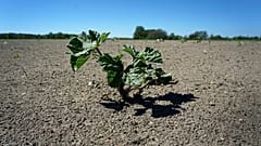 APTOPIX Germany Weather Drought