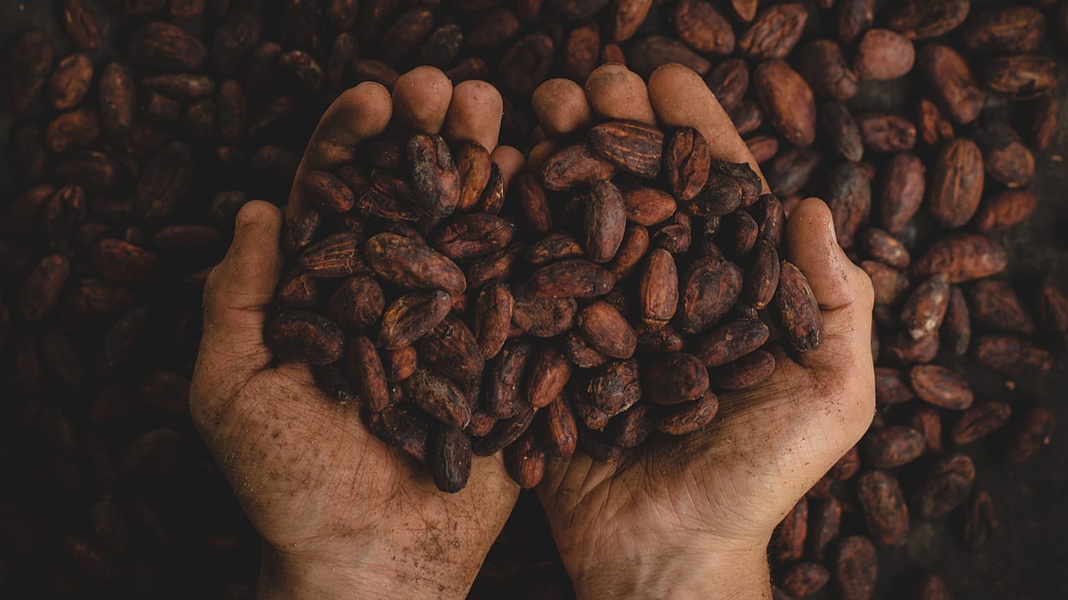 Is a coffee shortage inevitable as climate change gets worse?
