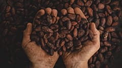 Is a coffee shortage inevitable as climate change gets worse?