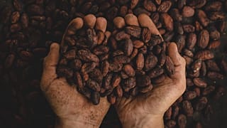 Is a coffee shortage inevitable as climate change gets worse?