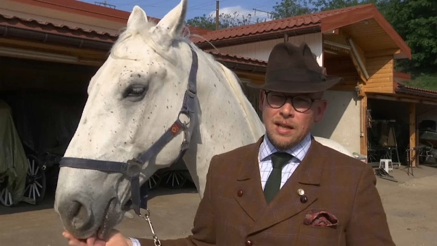Das Wiener Kutschpferd Leopold geführt von Werner Kaizar