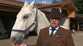 Das Wiener Kutschpferd Leopold geführt von Werner Kaizar