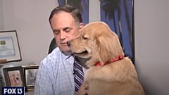 Paul Dellegatto és Brody, az arany retriever