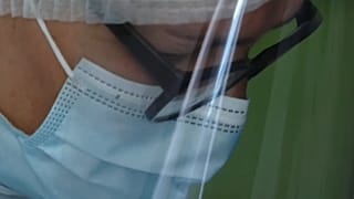 France : qui sont les brigades sanitaires ?