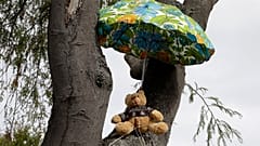 APTOPIX Virus Outbreak New Zealand Bears