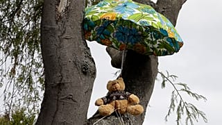 APTOPIX Virus Outbreak New Zealand Bears