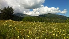 آغاز رقابت برای جذب گردشگر؛ سفر به ایتالیا با پرواز نصف قیمت و تخفیف هتل