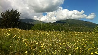آغاز رقابت برای جذب گردشگر؛ سفر به ایتالیا با پرواز نصف قیمت و تخفیف هتل