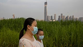 OMS insiste: o vírus tem "origens naturais"