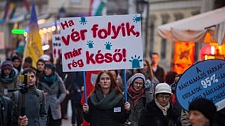 A NANE felvonulása a nők elleni erőszak felszámolásának világnapján a fővárosban