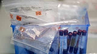 Virus Outbreak Florida