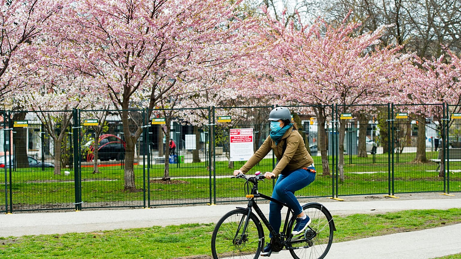 APTOPIX Virus Outbreak Canada Cherry Blossoms