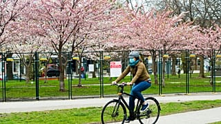 APTOPIX Virus Outbreak Canada Cherry Blossoms