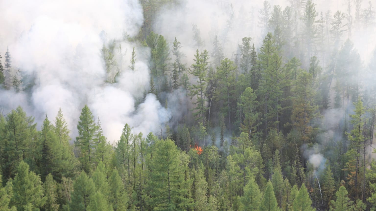 Russia Forest Fires