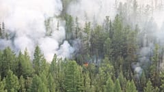 Russia Forest Fires