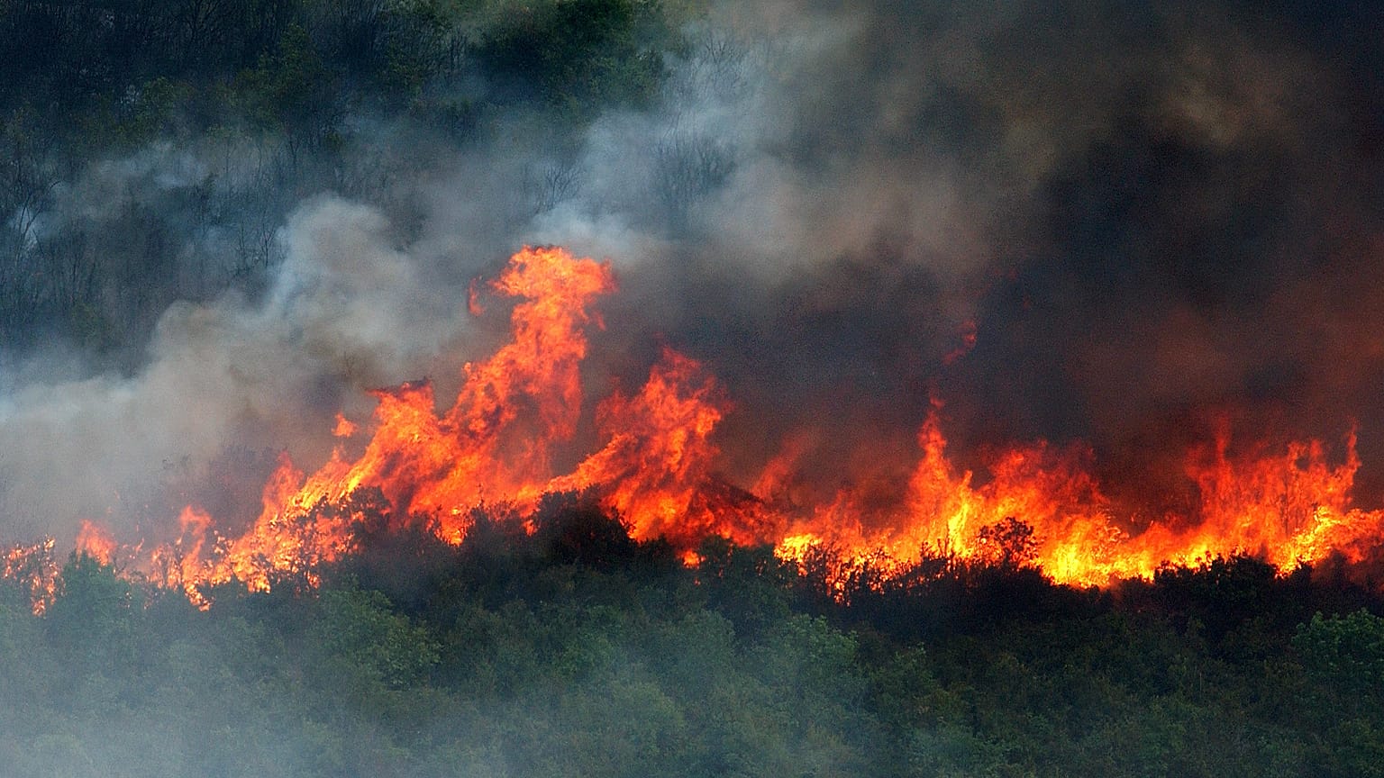 Ecofascists use the climate crisis as a veneer for racist and anti-semitic beliefs
