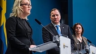 İsveç Sağlık ve Sosyal İşler Bakanı Lena Hallengren  