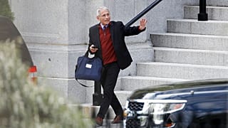 Anthony Fauci