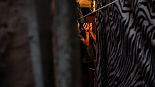 APTOPIX Virus Outbreak Brazil