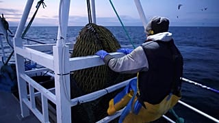 Fishermen work aboard the Good Fellowship fishing trawler, in the North Sea, off the coast of northeast England on January 21, 2020.