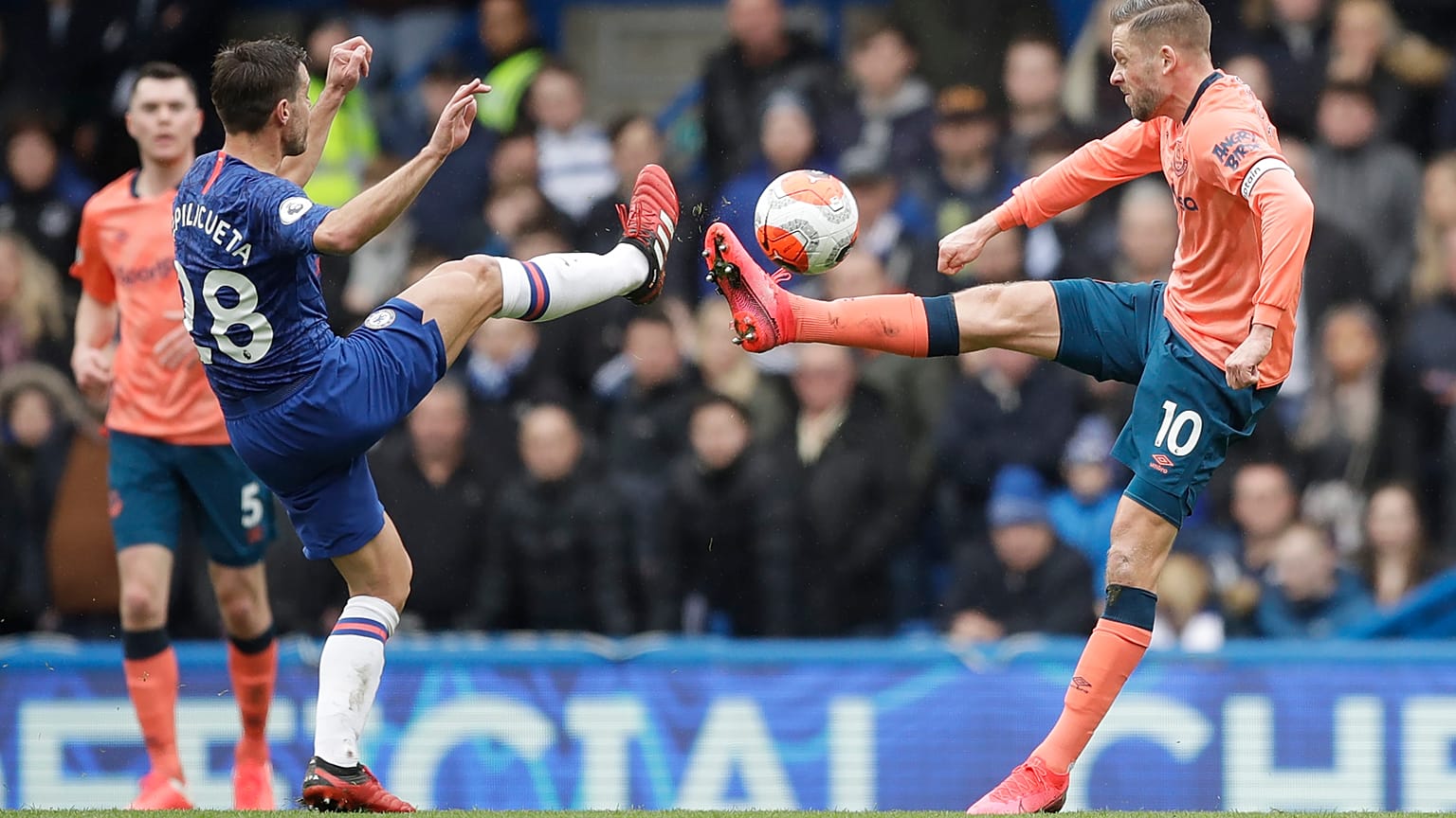 Gylfi Sigurdsson,Cesar Azpilicueta
