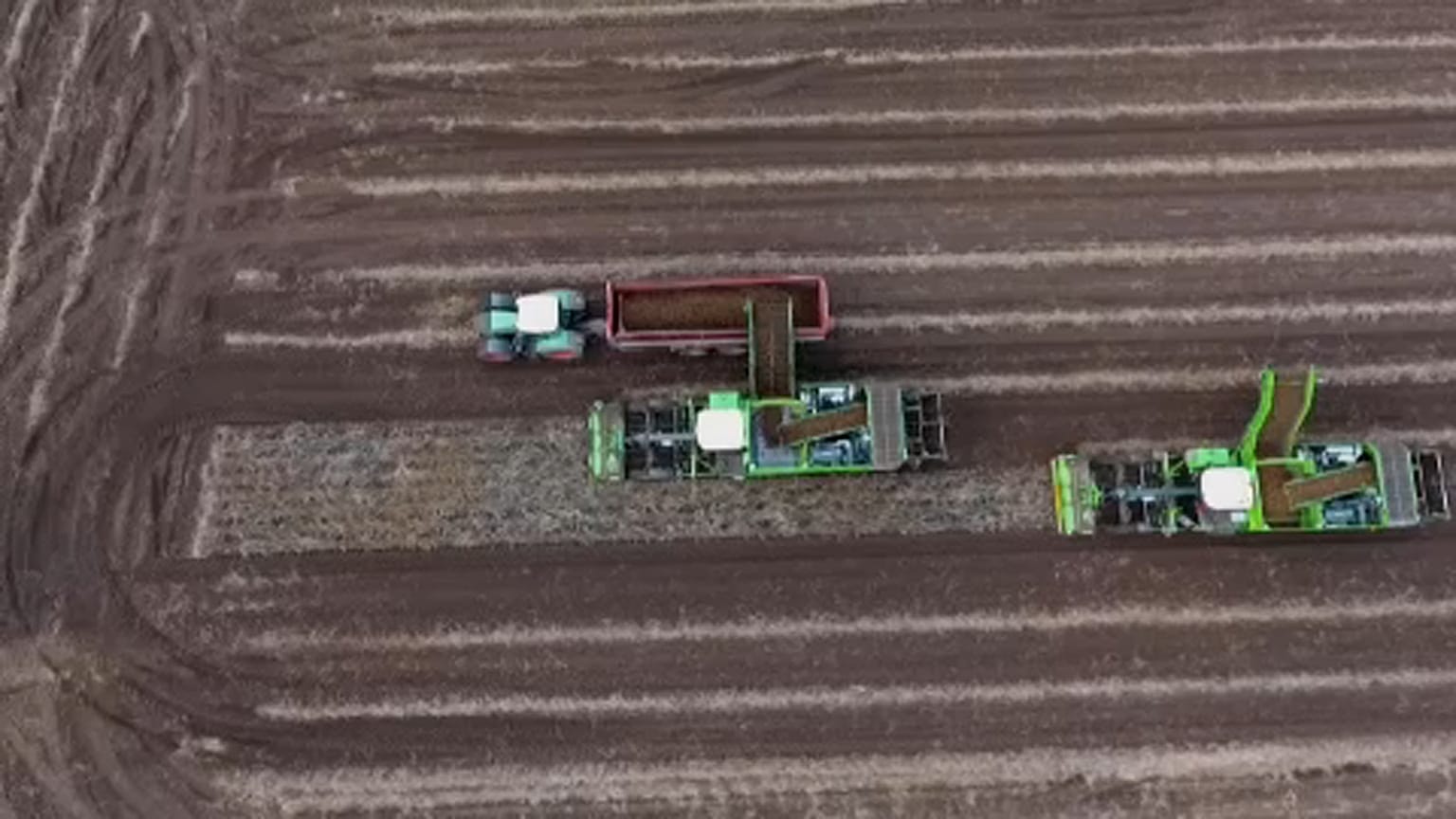 Ue: Perché l'agricoltura bio resta un sogno che fatica a decollare?