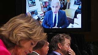 Anthony Fauci alerta al Senado de que EE.UU. se expone a "muertes innecesarias"