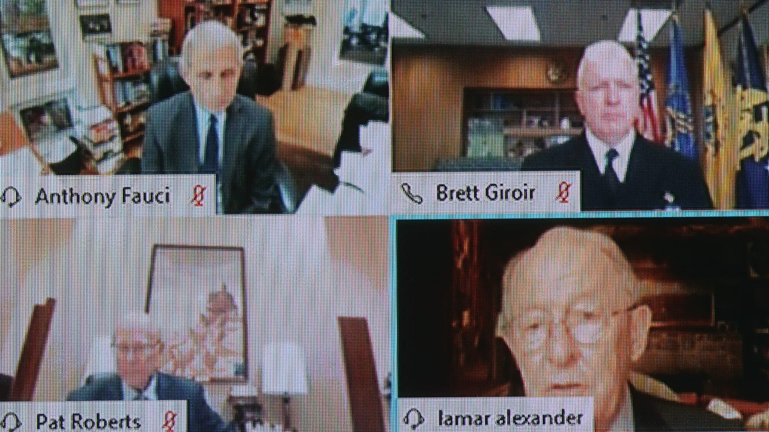 Fauci szenátusi videómeghallgatása