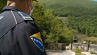 Kivágnak egy őserdőt a horvátok, hogy lássák a határsértőket