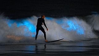 Virus Outbreak California