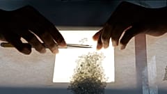 A worker sorts diamonds according their color (AP Photo/Themba Hadebe)