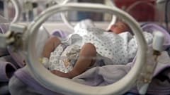 Adoptiveltern dürfen ukrainische Babys abholen