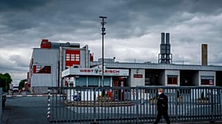 Virus Outbreak Germany Slaughterhouse