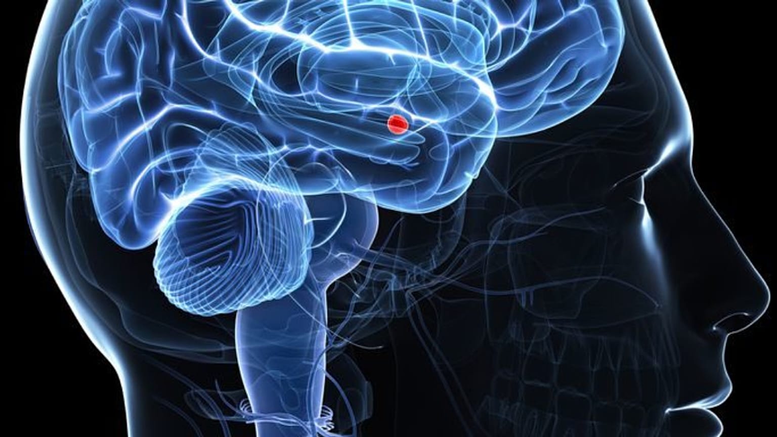 Bilim insanları beyinde acı duymayı tamamen engelleyecek noktayı keşfetti