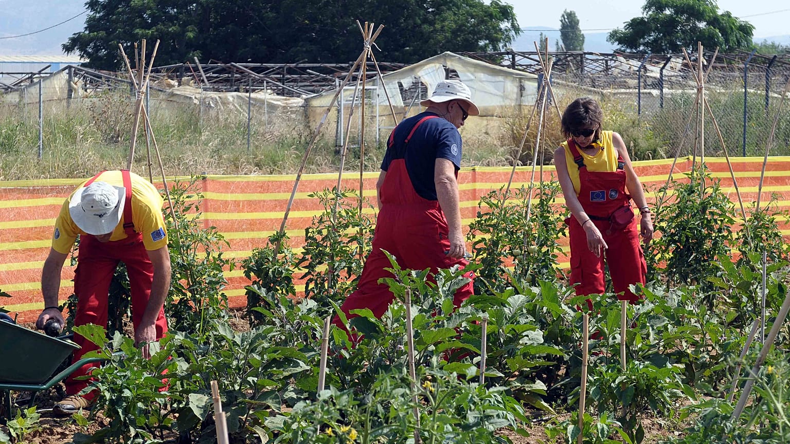 FARMERS