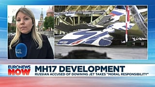 Malaysia Airlines Flight 17: Former Russian spy takes ‘moral responsibility’ for downing of plane