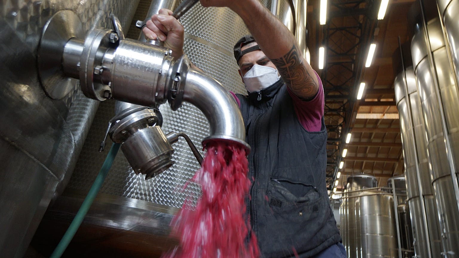 Lambrusco wine at a winery near Reggio Emilia, central Italy.