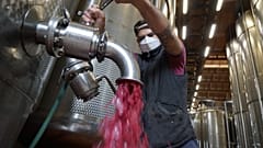 Lambrusco wine at a winery near Reggio Emilia, central Italy.