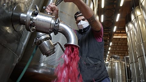 Lambrusco wine at a winery near Reggio Emilia, central Italy.