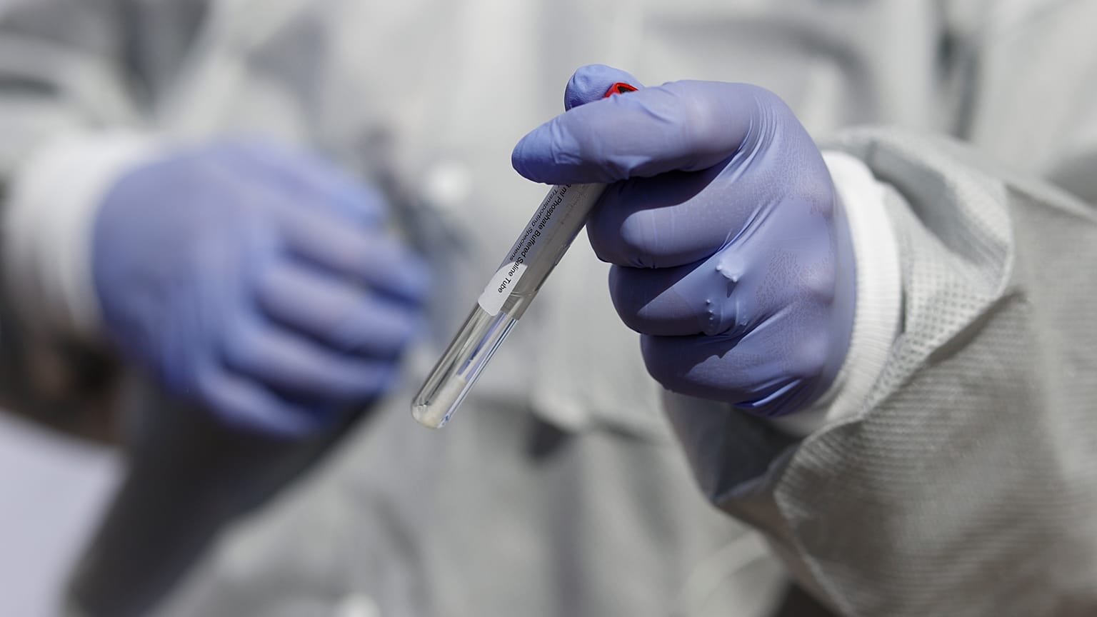 A nasal swab from Colorado Governor Jared Polis after he was administered a test for the new coronavirus on May 18, 2020.