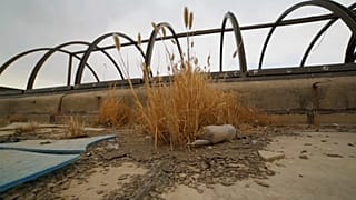 Zerstörtes Haus in Mosul, Irak