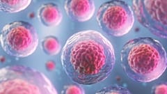 Kök hücreden oluşturulan organ h��creleri