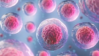 Kök hücreden oluşturulan organ h��creleri