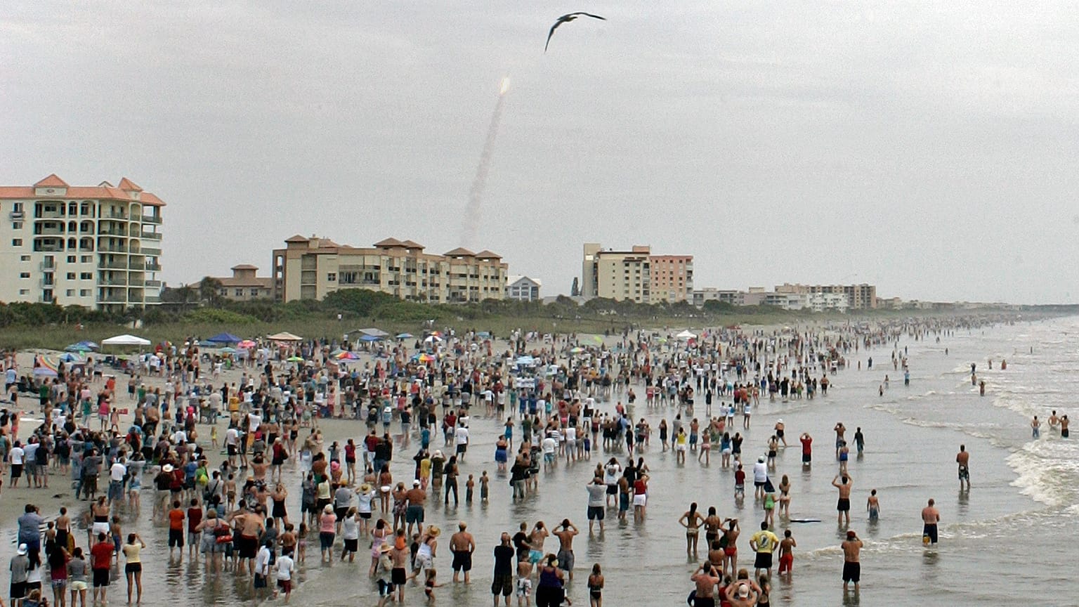 Florida, ABD / 8 Temmuz 2011 / Arşiv