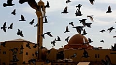 مسجد جده در عربستان