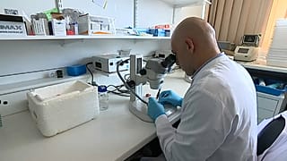 Malaria vaccine investigation